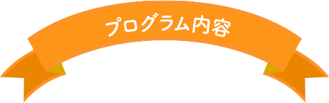 プログラム内容